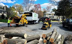 Best Firewood Processing and Delivery  in Adamstown, MD